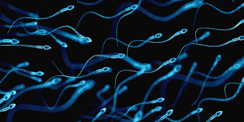 Sperma Manusia Dikirim ke Luar Angkasa, Apa Tujuannya?