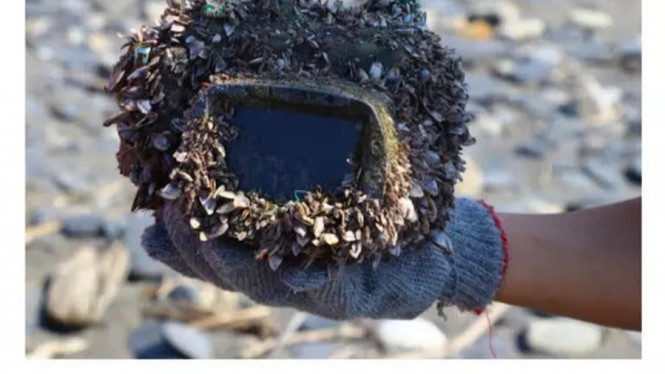 Dua Tahun Tenggelam di Laut, Kamera ini Masih Bisa Berfungsi