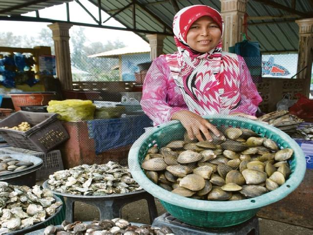 Hebat !! Inhil Mulai Lakukan Ekspor Kerang Tiram ke Malaysia