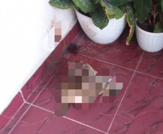 Polisi Miliki Petunjuk Terkait Teror Kepala Anjing di Rumah Humas Kejaksaan Tinggi Riau