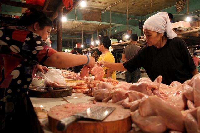 Menteri Amran: Indonesia Ekspor Ayam Karena Stok Melimpah