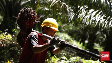 Eropa akan Hapus Biodiesel dari Sawit Termasuk dari Indonesia