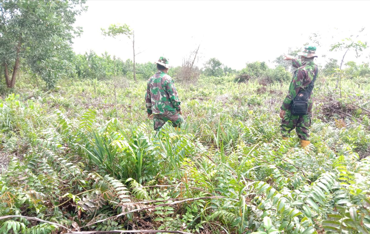 Disiplin Patroli Menjaga Komitmen Cegah Karhutla di Wilayah Teritorial Koramil 09/Langgam