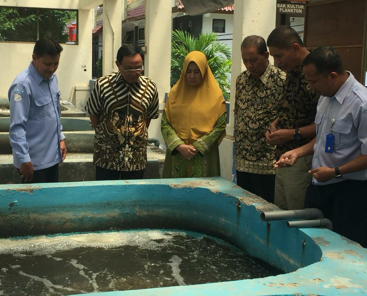 Bupati Sebut Potensi Budidaya Air Payau di Inhil Belum Banyak Dimanfaatkan