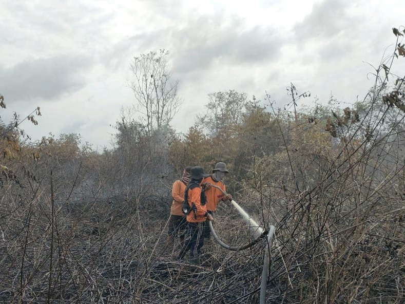 BMKG Pekanbaru Ingatkan Riau Waspada Karhutla, Berikut Penjelasannya