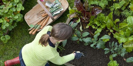 Berikut Empat Hobi yang Bisa Dilakukan di Rumah dan Ampuh Atasi Stres