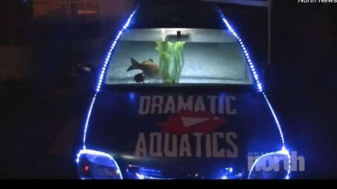 Tergila-gila dengan Ikan, Pria Ini Ubah Mobilnya Jadi Akuarium