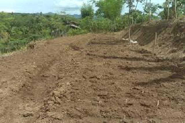 1500 Hektar Lahan Masyarakat di Inhu Tidak Produktif
