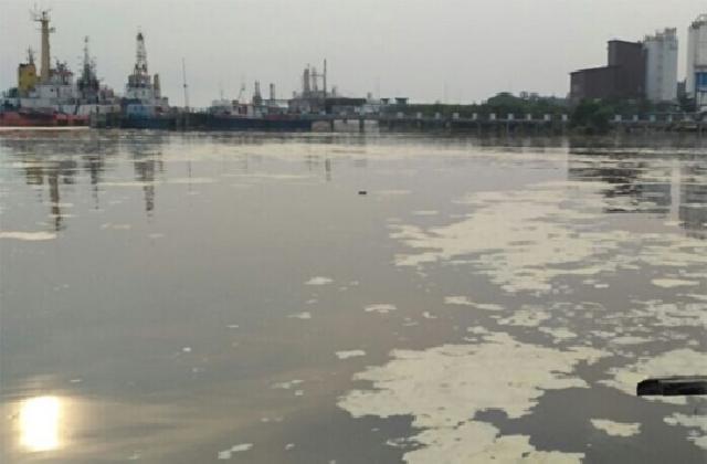 Puluhan Ton CPO PT Nagamas Tumpah Cemari Laut Dumai