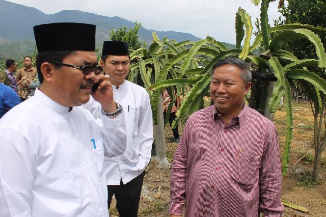 Gubernur Aceh Langsung Telepon Bupati Gayo Lues Terkait Kebakaran Hutan