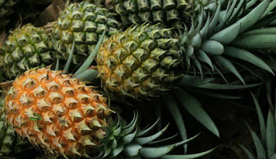 Obat Batuk Berdahak Sekali Minum Sembuh, Gunakan Buah Nanas