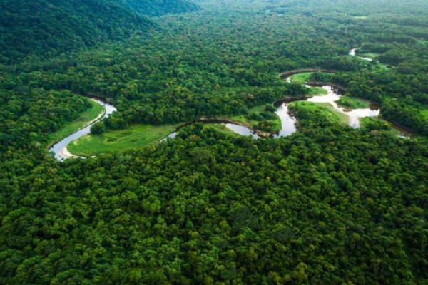 Pelepasan Kawasan Hutan Produksi Yang Dikonversi Bukan Kategori Melawan Hukum