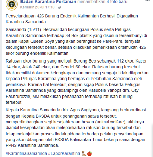 Duh.. Ratusan Burung Endemik Kalimantan Diselundupkan di Kapal Queen Soya