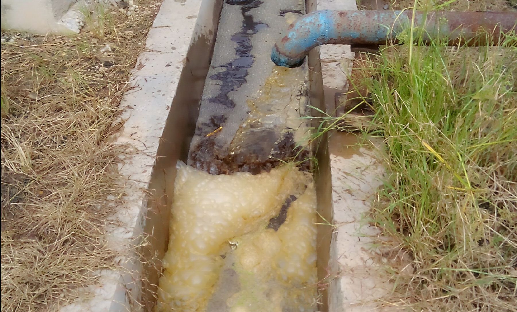 Usut Limbah PT MAS Bengkalis, DLH Lakukan Investigasi