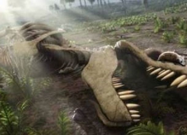 Sebelum Punah karena Asteroid, Dinosaurus Sempat Keracunan