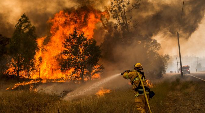 Buat Efek Jera, 970 Hektare Lahan Terbakar di Riau Dipasang Garis Polisi