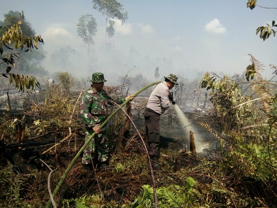 Riau Berkabut Tipis, Polisi Selidiki Pelaku Pembakar Lahan