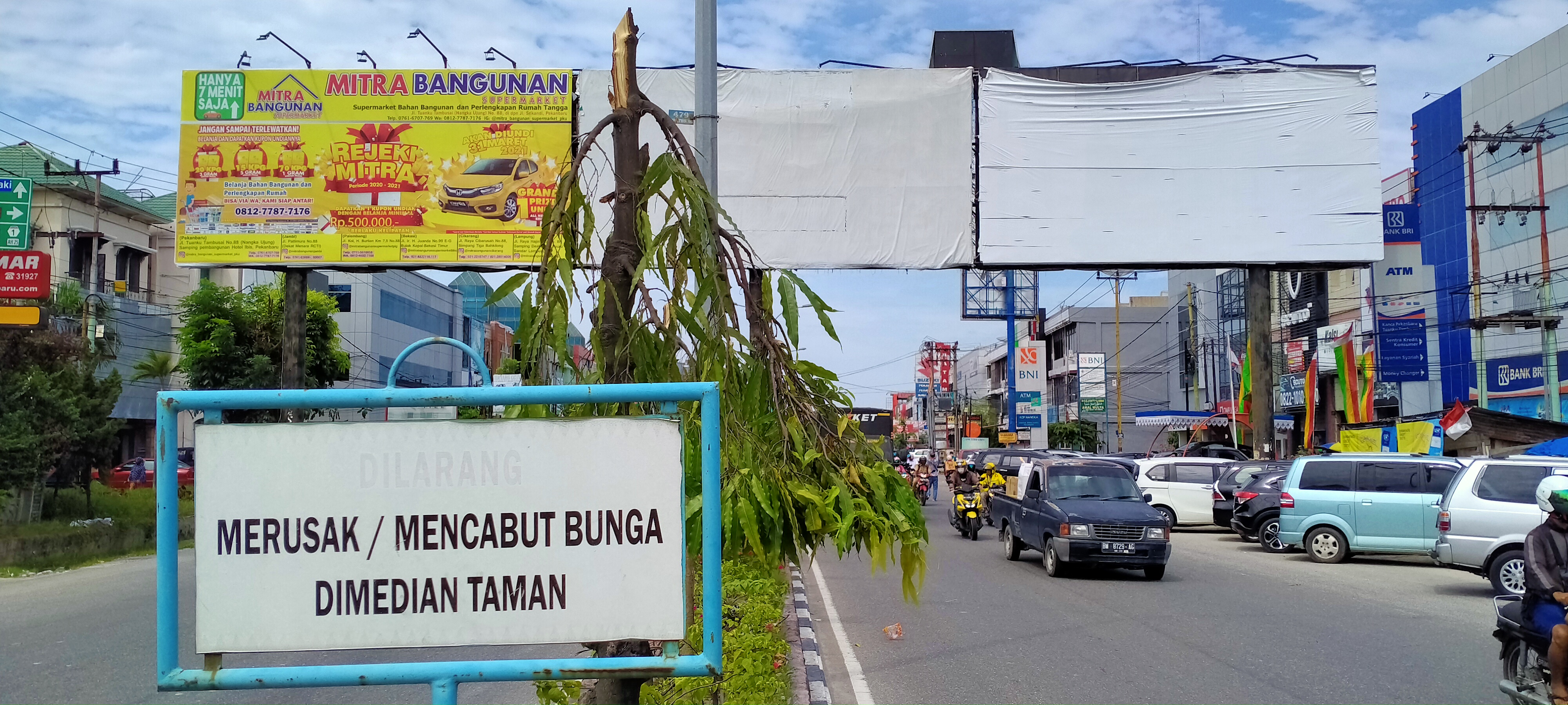 Polisi Dapat Gambaran Pelaku Penebang 83 Pohon di Pekanbaru