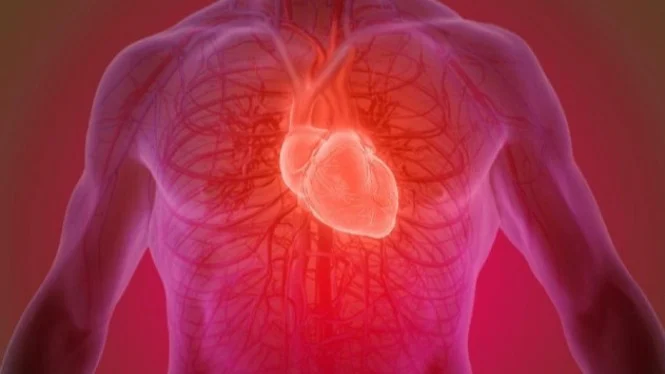 Agar Jantung Tetap Sehat, 8 Jenis Makanan Ini Wajib Dikonsumsi