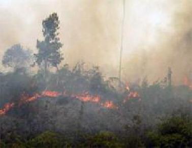 DPRD Siak Minta Pemkab Tambah Armada Damkar Setiap Cluster