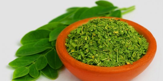 Identik Dengan Dunia Mistis, Daun Kelor Tenyata Kaya Gizi