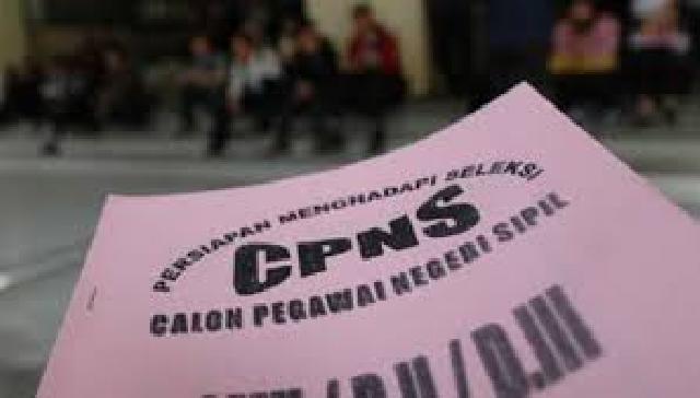 Kepastian Formasi CPNS Pemko Pekanbaru 15 Agustus Ini