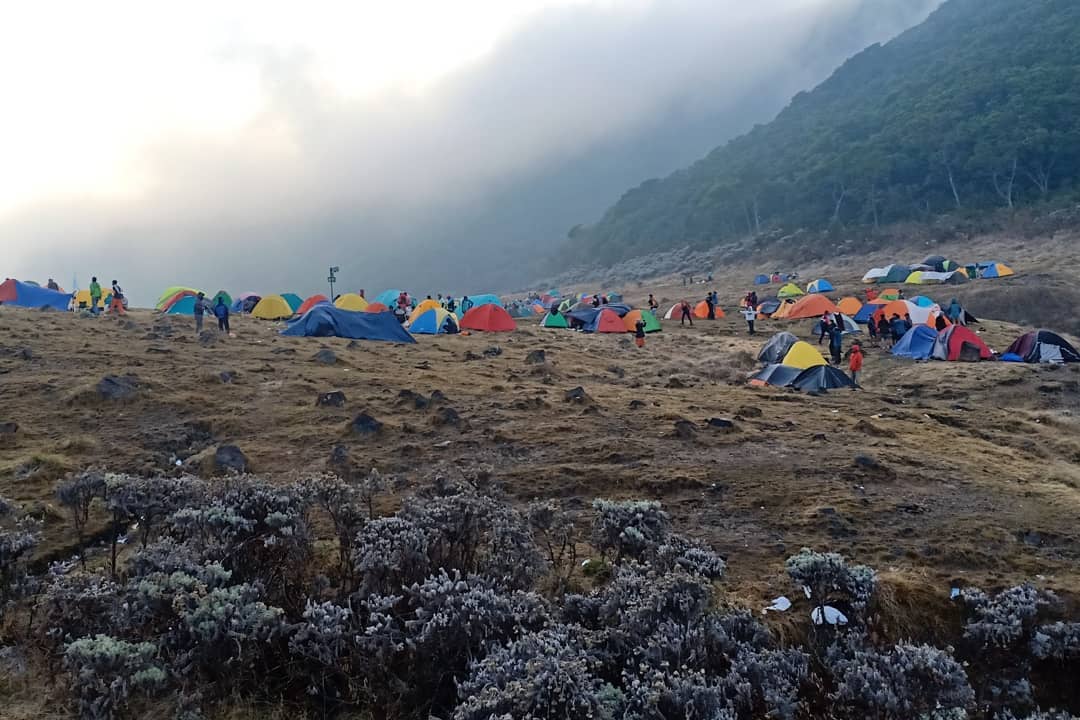 Menggapai Puncak Gunung Gede, Potongan “Surga” di Tanah Pasundan