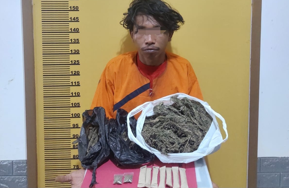 Polres Inhu Amankam 950 Gram Ganja Kering di Kota Rengat