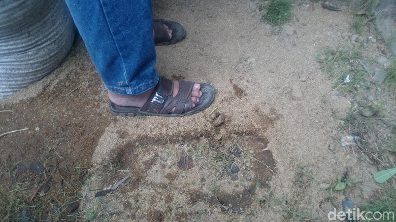 Jejak 'Bigfoot' Ditemukan Muncul di Pekarangan Warga Magelang