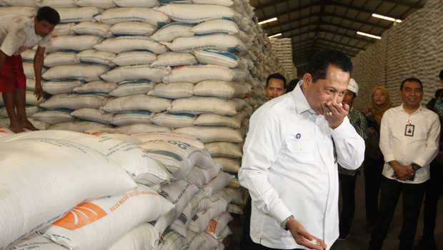 PDIP: Impor Beras Coreng Muka Presiden Jokowi