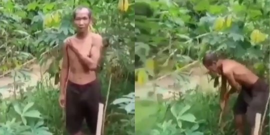 Viral Video Seorang Kakek Curi Singkong Demi ini, Balasan Pemilik Kebun Mengejutkan