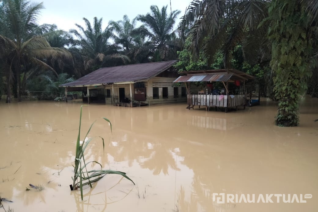 102 KK di Kuantan Mudik Kuansing Terdampak Banjir, Warga Bertahan di Rumah