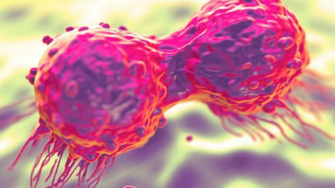 Dua Bahan Ajaib untuk Perangi Kanker Ada di Dapur Anda