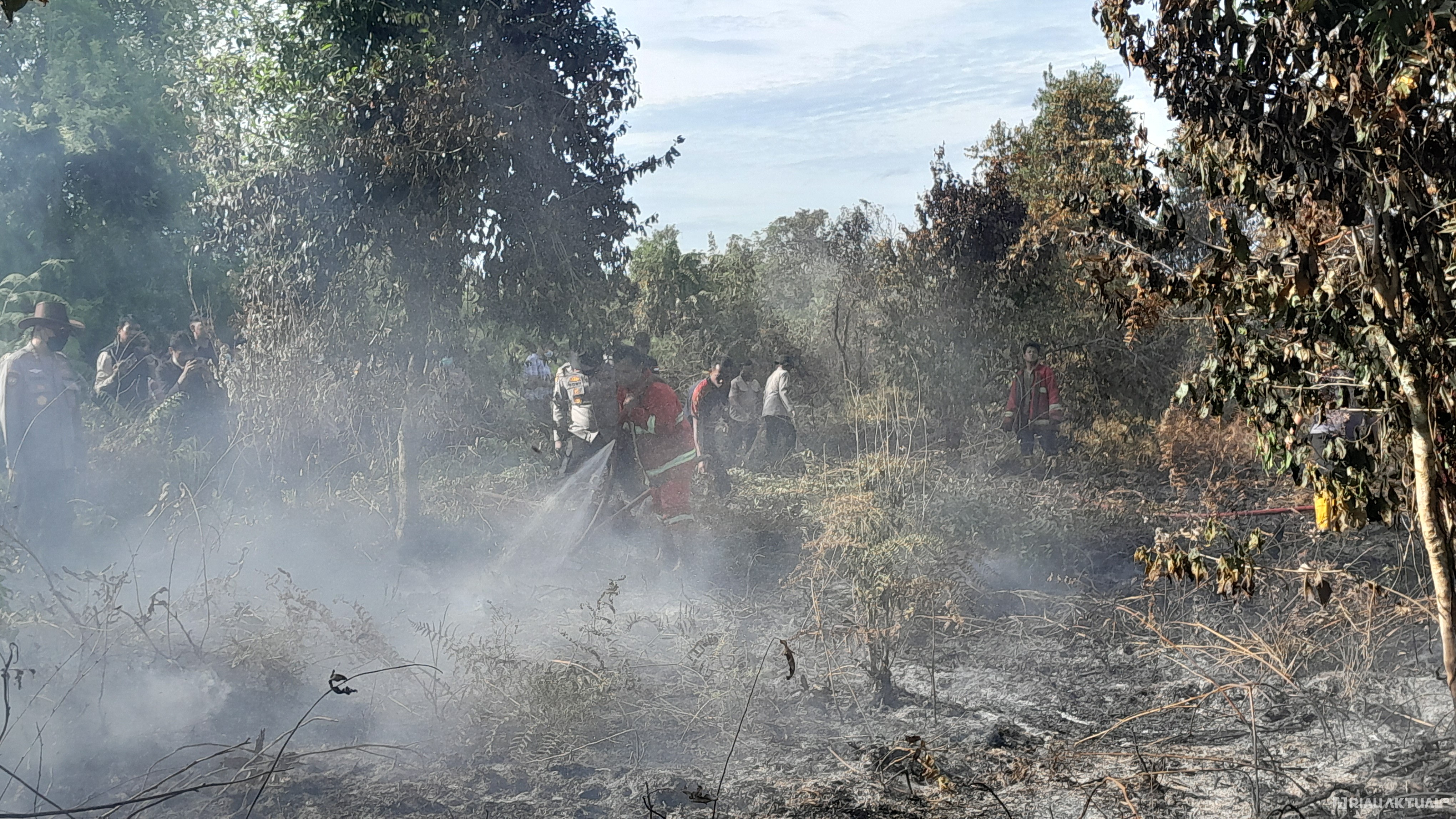 55 Titik Panas Terdeteksi di Riau, Terbanyak di Siak