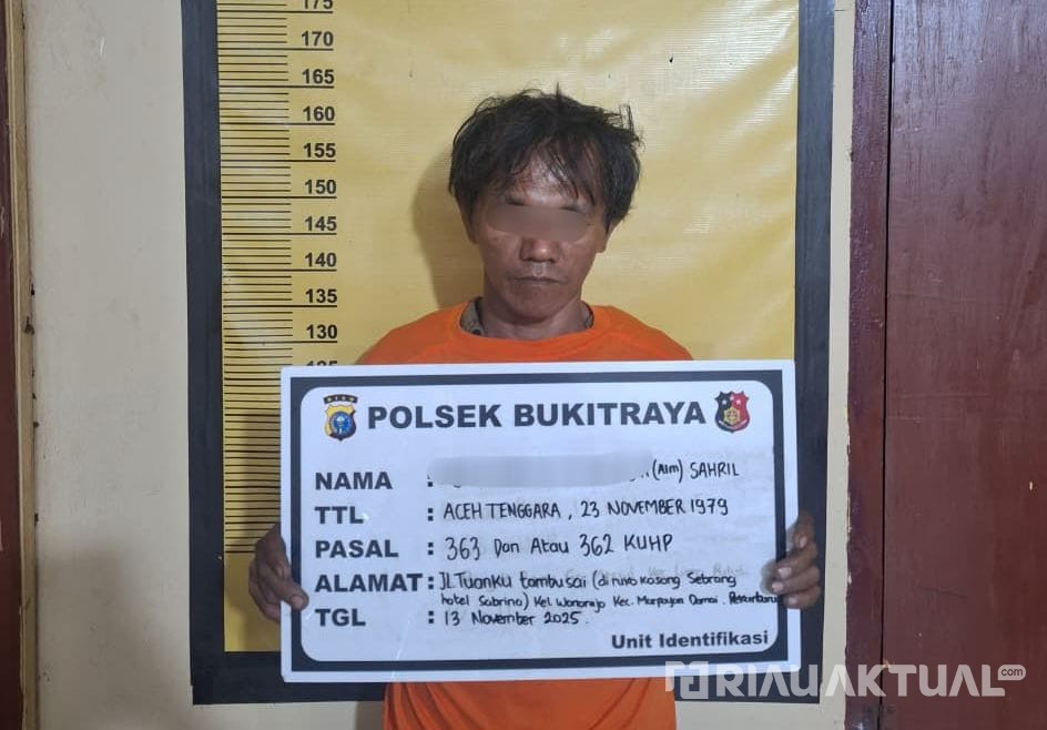 Curi Besi Pagar di Bawah Flyover Sudirman, 'Si Rayap Besi' Dibekuk Polisi