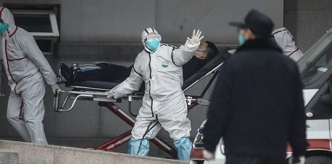 Hobi Makan Satwa Liar, Picu Penyebaran Virus Korona