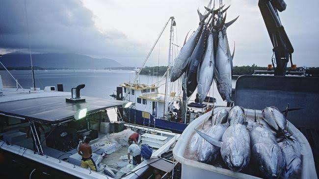 Dinas Kelautan dan Perikanan Riau Tahun Ini Fokus Budidaya dan Penangkapan Ikan serta Illegal Fishing