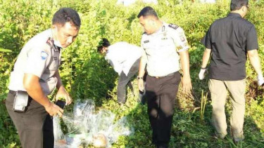 Kronologi Driver Go-Car Dirampok dan Dibunuh Penumpang