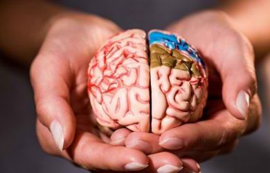 Penelitian Membuktikan Sering Melakukan Seks Membuat Otak Lebih Cerdas