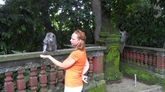 Bercengkrama dengan Monyet di Alas Kedaton Tabanan Bali