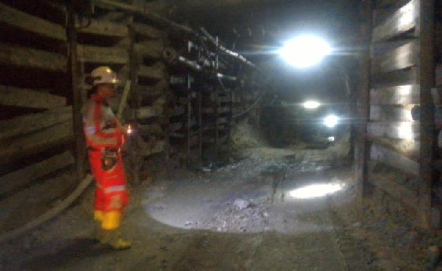 Antam Minta Tambah Lahan Eksplorasi Tambang Emas