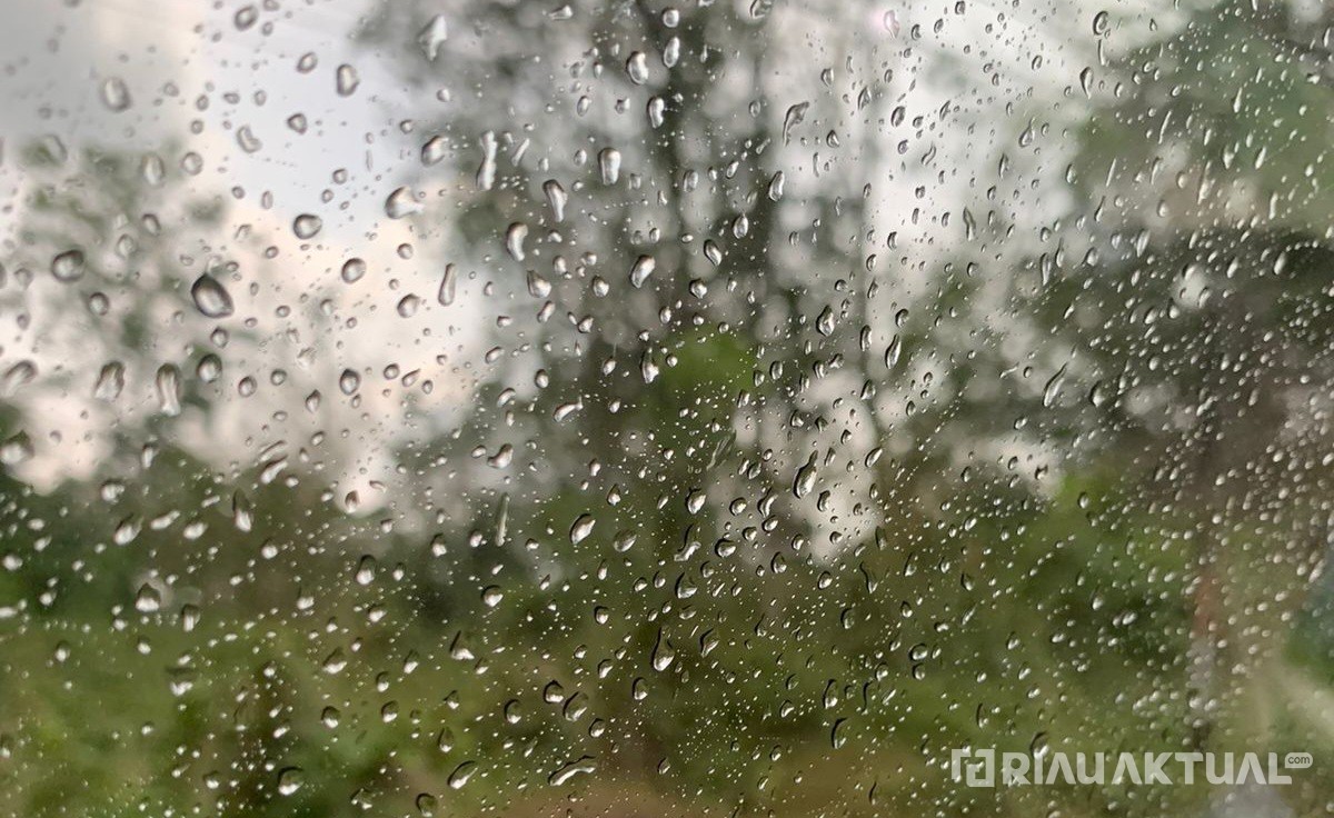 Sebagian Besar Wilayah Riau Berpotensi Hujan Hari Ini