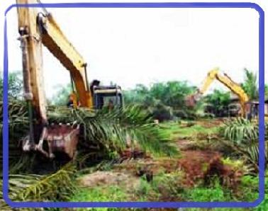 Pemko Pekanbaru Perketat Alih Fungsi Ruang Terbuka Hijau