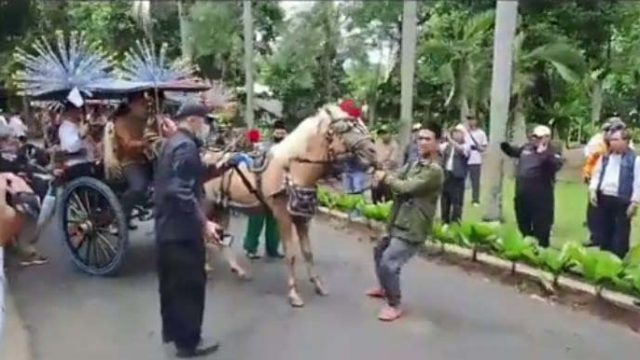 Kuda Delman Anies Baswedan Ogah Jalan Isyaratkan Kekalahan di Pilpres 2024 ?