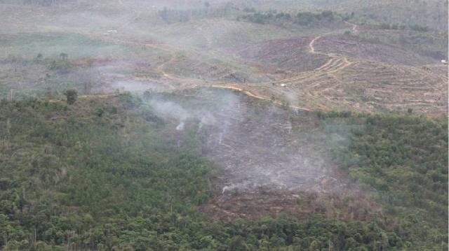Patroli Udara Heli Super Puma TNI AU Temukan Lahan Terbakar dan Gubuk