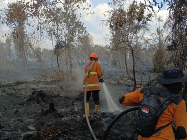 Kalaksa BPBD Kampar: 30 Kasus Karhutla Ditemukan, Mayoritas di Karya Indah Tapung
