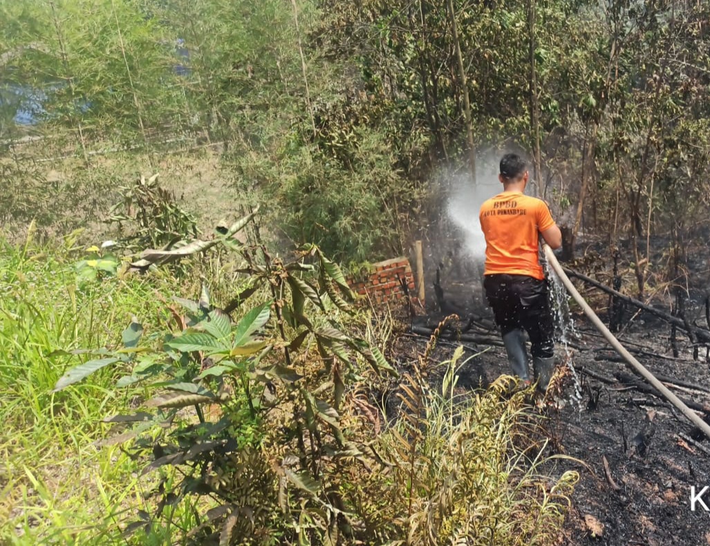 Cuaca Panas, Lebih dari 1 Hektare Lahan di Pekanbaru Terbakar