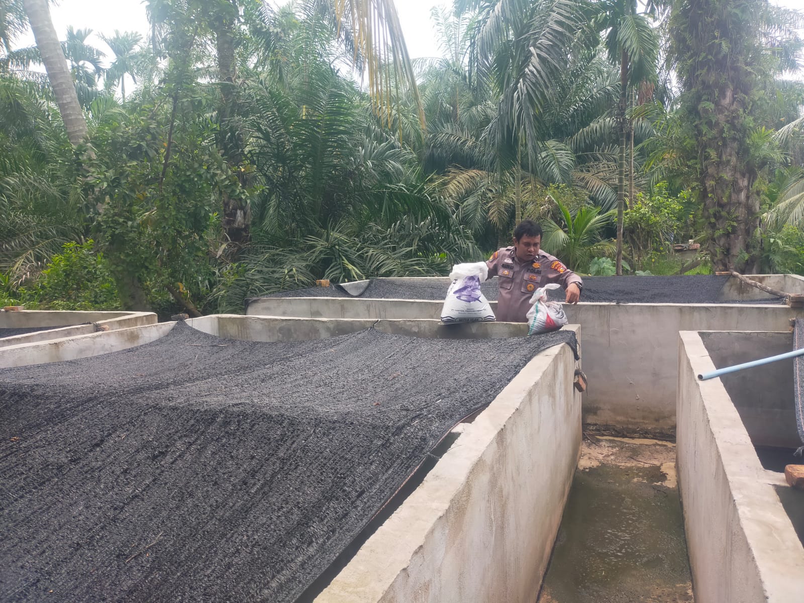 Polsek Bangko Pusako Bina Ketahanan Pangan di Teluk Bano I