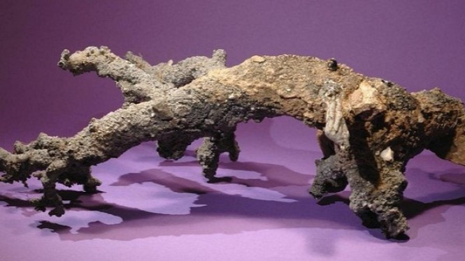 Ternyata Petir Bisa Ditangkap, ini Buktinya