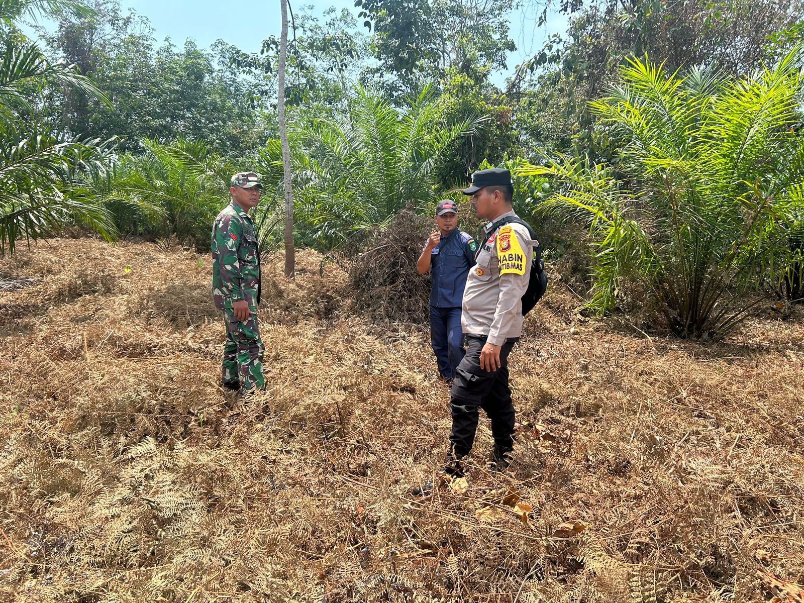 Polsek Rupat Bersama Tiga Pilar Giatkan Patroli Pencegahan Kebakaran Lahan di Tengah Cuaca Panas Ekstrem